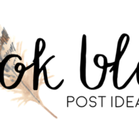 Book Blog Post Ideas and Discussions