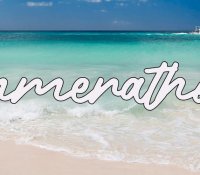 Summerathon Sign-Up, TBR, and Tracking/Progress