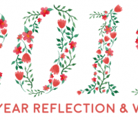 2019 Reflection / Wrap-Up