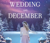Blog Tour: A Wedding in December