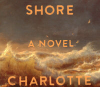 Recent Reads | Wild Dark Shore and A Curious Beginning